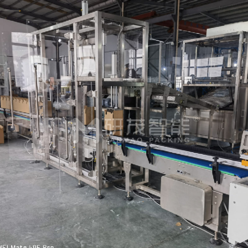 智能兩軸機(jī)器人裝箱機(jī)——定制化適用于食品、醫(yī)藥、電子行業(yè)自動(dòng)化生產(chǎn)線廠家