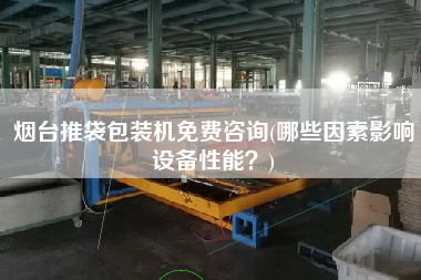煙臺(tái)推袋包裝機(jī)免費(fèi)咨詢(哪些因素影響設(shè)備性能？)