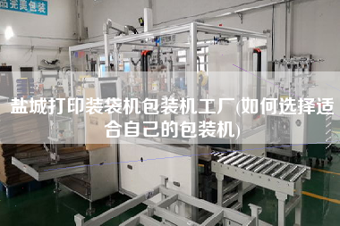 鹽城打印裝袋機(jī)包裝機(jī)工廠(如何選擇適合自己的包裝機(jī))