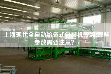 上海現(xiàn)代全自動給袋式包裝機參數(shù)(哪些參數(shù)需要注意？)