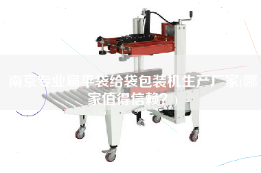 南京專業(yè)扁平袋給袋包裝機(jī)生產(chǎn)廠家(哪家值得信賴？)