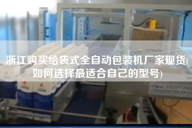 浙江X給袋式全自動包裝機廠家現貨(如何選擇z適合自己的型號)