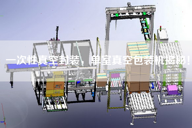 一次性真空封裝，單室真空包裝機揭秘！