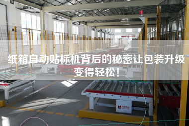 紙箱自動(dòng)貼標(biāo)機(jī)背后的秘密讓包裝升級(jí)變得輕松！