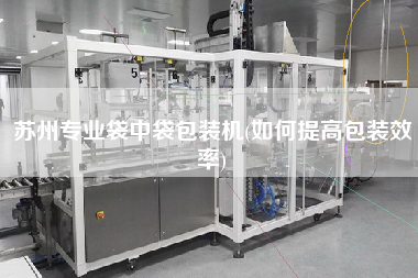 蘇州專業袋中袋包裝機(如何提高包裝效率)