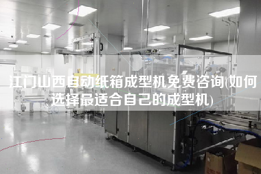 江門山西自動紙箱成型機免費咨詢(如何選擇z適合自己的成型機)