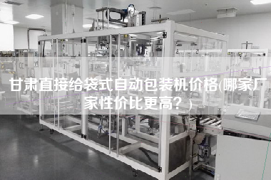 甘肅直接給袋式自動包裝機價格(哪家廠家性價比z高？)