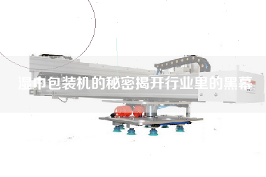濕巾包裝機(jī)的秘密揭開行業(yè)里的黑幕