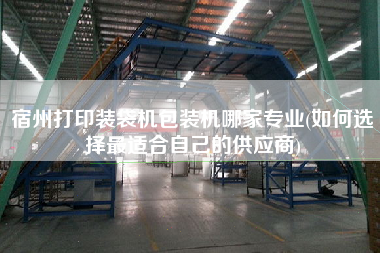 宿州打印裝袋機包裝機哪家專業(yè)(如何選擇z適合自己的供應商)