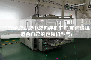 江蘇給袋式袋中袋包裝機(jī)工廠(如何選擇適合自己的包裝機(jī)型號(hào))