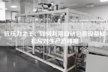 抗壓力之王：如何利用自動包裝設備輕松應對生產高峰期