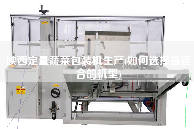 陜西定量蔬菜包裝機生產(如何選擇z適合的機型)