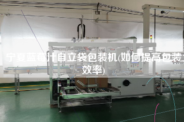 寧夏藍(lán)莓汁自立袋包裝機(jī)(如何提高包裝效率)