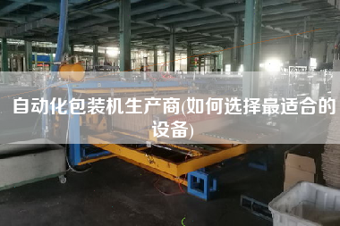自動化包裝機(jī)生產(chǎn)商(如何選擇z適合的設(shè)備)