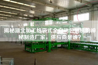 揭秘湖北加工給袋式全自動包裝機的神秘制造廠家，供應商是誰？