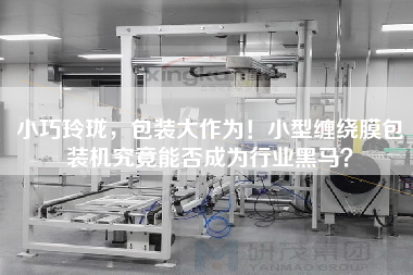 X，包裝大作為！小型纏繞膜包裝機究竟能否成為行業(yè)黑馬？