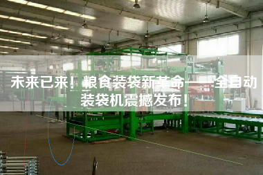 未來已來！糧食裝袋新革命——全自動裝袋機震撼發布！