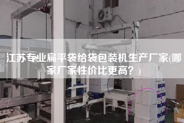 江蘇專業扁平袋給袋包裝機生產廠家(哪家廠家性價比z高？)