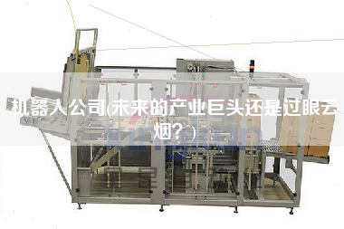 機器人公司(未來的產業巨頭還是過眼云煙？)