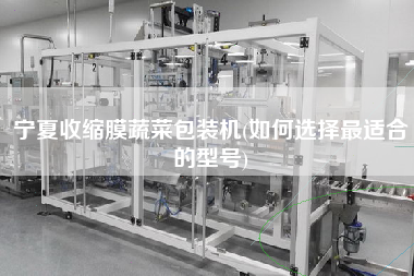 寧夏收縮膜蔬菜包裝機(如何選擇z適合的型號)