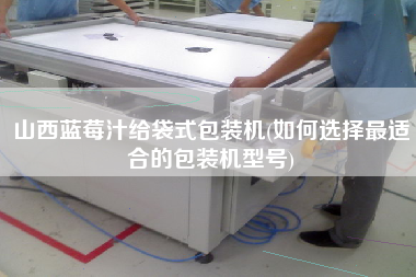 山西藍莓汁給袋式包裝機(如何選擇z適合的包裝機型號)