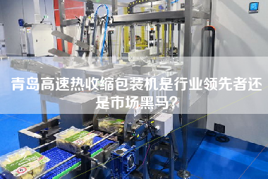 青島高速熱收縮包裝機(jī)是行業(yè)領(lǐng)先者還是市場黑馬？