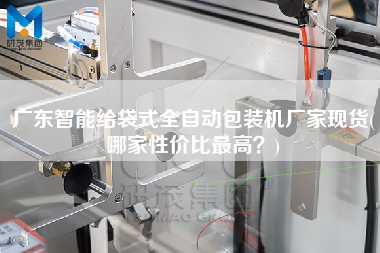 廣東智能給袋式全自動(dòng)包裝機(jī)廠家現(xiàn)貨(哪家性價(jià)比z高？)