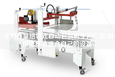 上海質量給袋式自動包裝機生產廠家(如何選擇z適合自己的設備)