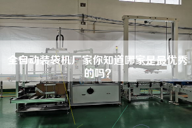 全自動裝袋機(jī)廠家你知道哪家是z優(yōu)秀的嗎？