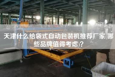 天津什么給袋式自動包裝機推薦廠家(哪些品牌值得考慮)？