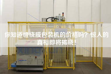 你知道纏繞膜包裝機的價格嗎？驚人的真相即將揭曉！