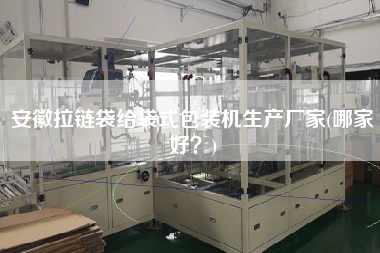 安徽拉鏈袋給袋式包裝機(jī)生產(chǎn)廠家(哪家好？)