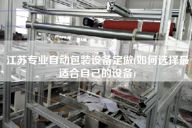 江蘇專業自動包裝設備定做(如何選擇z適合自己的設備)