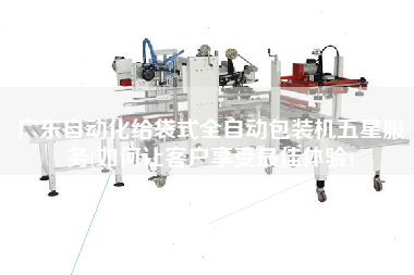 廣東自動(dòng)化給袋式全自動(dòng)包裝機(jī)五星服務(wù)(如何讓客戶享受z佳體驗(yàn))