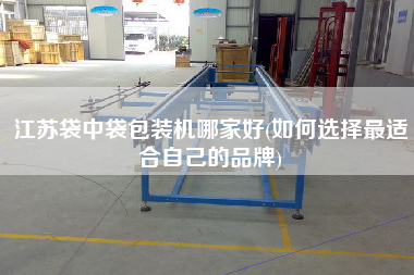 江蘇袋中袋包裝機哪家好(如何選擇z適合自己的品牌)
