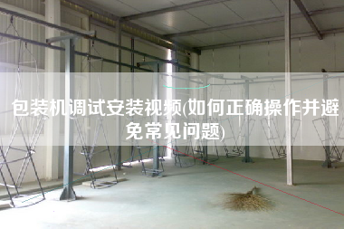 包裝機調試安裝視頻(如何正確操作并避免常見問題)