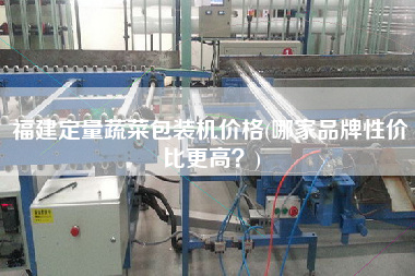 福建定量蔬菜包裝機價格(哪家品牌性價比z高？)