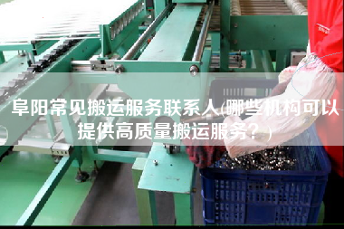 阜陽常見搬運服務聯系人(哪些機構可以提供高質量搬運服務？)