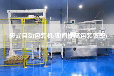 袋式自動包裝機(如何提高包裝效率)