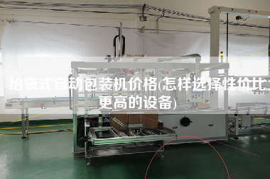 給袋式自動包裝機價格(怎樣選擇性價比z高的設備)