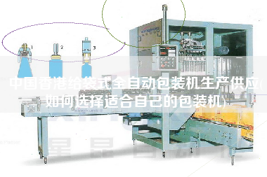 中國香港給袋式全自動包裝機生產供應(如何選擇適合自己的包裝機)