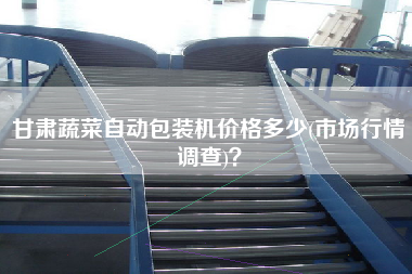 甘肅蔬菜自動包裝機(jī)價格多少(市場行情調(diào)查)？
