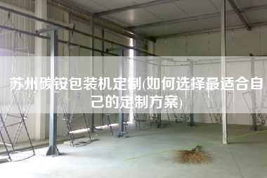 蘇州碳銨包裝機定制(如何選擇z適合自己的定制方案)