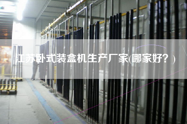 江蘇臥式裝盒機生產廠家(哪家好？)