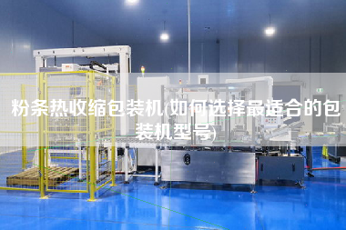 粉條熱收縮包裝機(如何選擇z適合的包裝機型號)