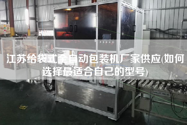 江蘇給袋式全自動包裝機廠家供應(如何選擇z適合自己的型號)